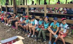 CLSH Ete 2017   009